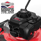 PowerSmart 21 in Gas Push Lawn Mower With 125cc Briggs And Stratton E300 Engine - 2-in-1