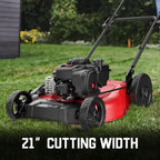 PowerSmart 21 in Gas Push Lawn Mower With 125cc Briggs And Stratton E300 Engine - 2-in-1