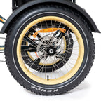 DWMEIGI Silverado 20 Foldable Fat Tire Electric Trike 48V/14AH 750W, 330LBS - MG2301