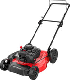 PowerSmart 21 in Gas Push Lawn Mower With 125cc Briggs And Stratton E300 Engine - 2-in-1