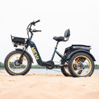 DWMEIGI Silverado 20 Foldable Fat Tire Electric Trike 48V/14AH 750W, 330LBS - MG2301