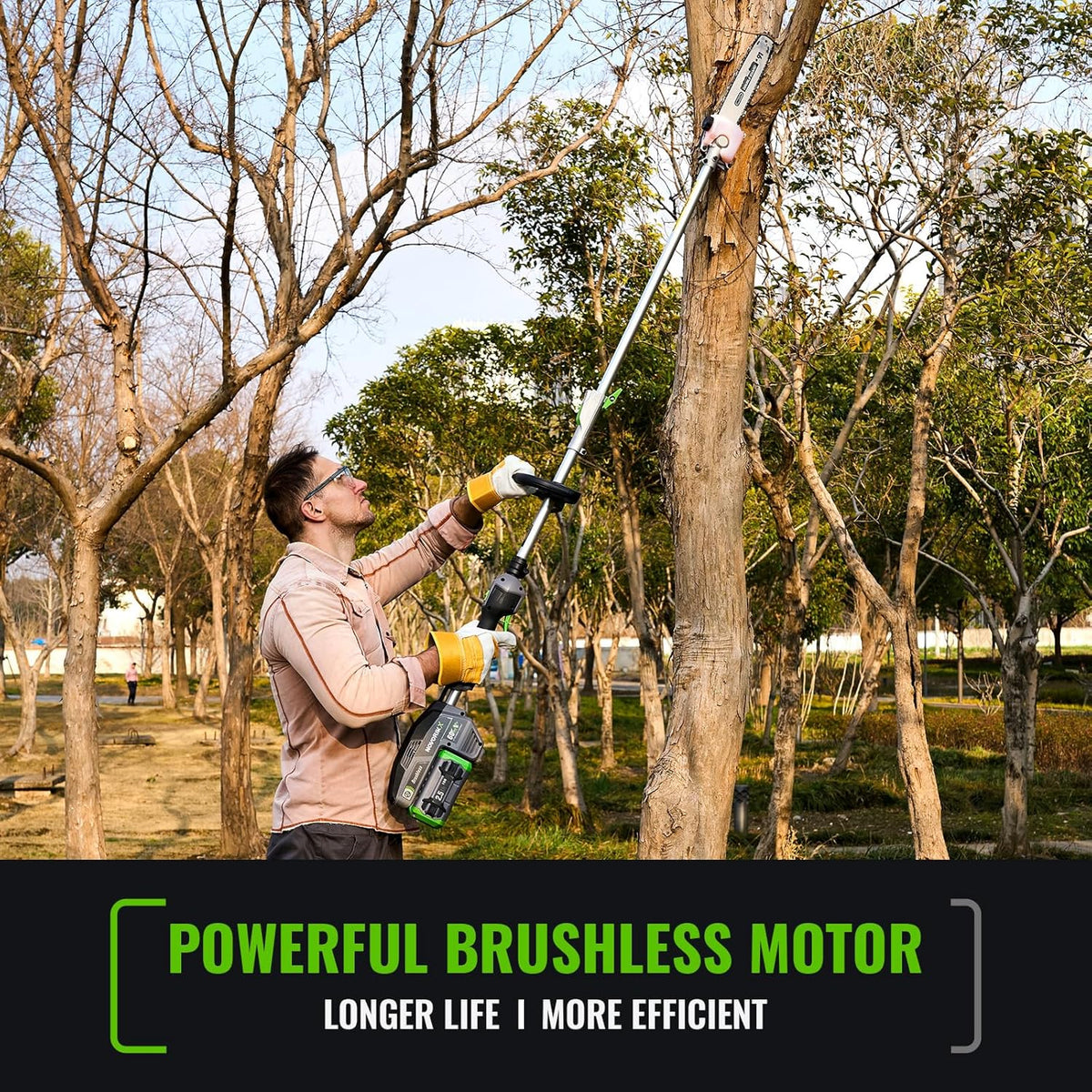 60V Cordless Pole Saw With 15 FT Reach, 10 Inch Guide Bar And 2.5AH Battery