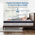 Avenco Queen Mattress, 10 Inch, Medium Plush Support With Individually Pocket Springs