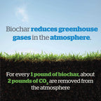 Wakefield Biochar Soil Conditioner