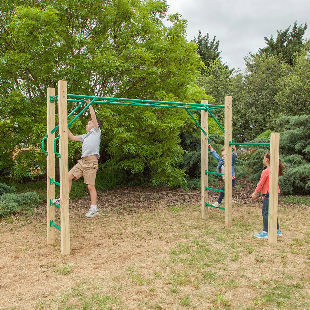 Lifespan Kids Monkey Bar Set, 2.5m - Amazon