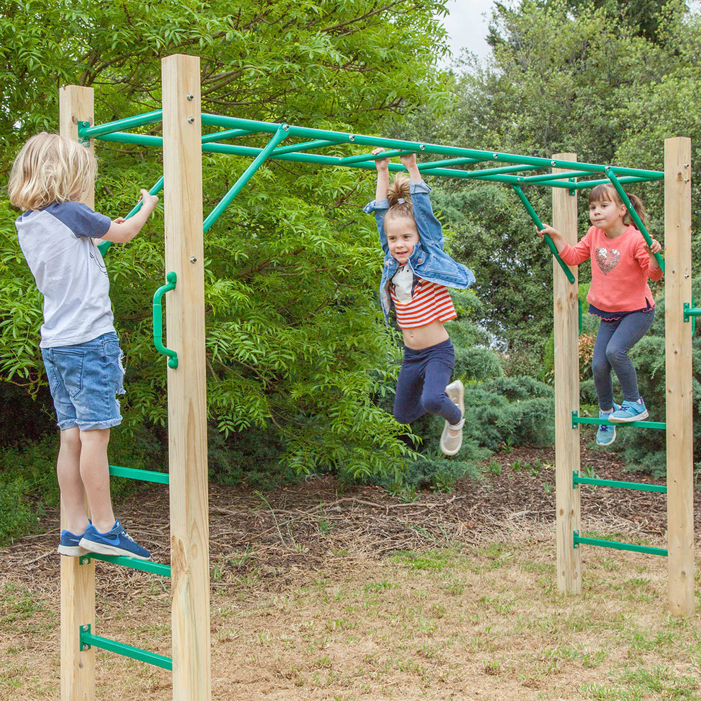 Lifespan Kids Monkey Bar Set, 2.5m - Amazon