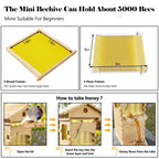 AUSHIVE Wax-Coated Cedarwood Beehive Kit With 4 Beehive Frames And 6 Brood Frames - Beige