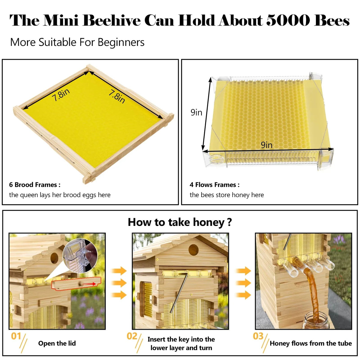 AUSHIVE Wax-Coated Cedarwood Beehive Kit With 4 Beehive Frames And 6 Brood Frames - Beige