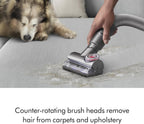Dyson Ball Animal Total Clean Upright Vacuum - Corded, 290AW