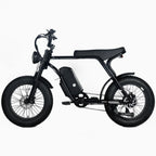 Electric Mountain Bike For Adults, 20 x 4.0 Fat Tires, 1000W Motor, 48V 20Ah Battery, Black - G-M1Sp