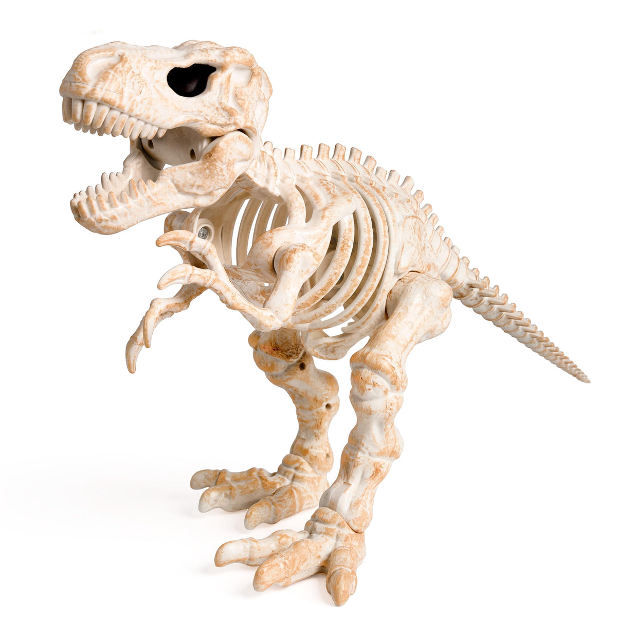 Joyfy Rabbit Skeleton