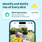 NETVUE by Birdfy Smart Bird Feeder With Camera, Solar Power, 1.5L