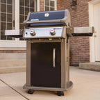 Weber 2 Burner Liquid Propane Grill, Black - Spirit E-210