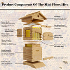 AUSHIVE Wax-Coated Cedarwood Beehive Kit With 4 Beehive Frames And 6 Brood Frames - Beige