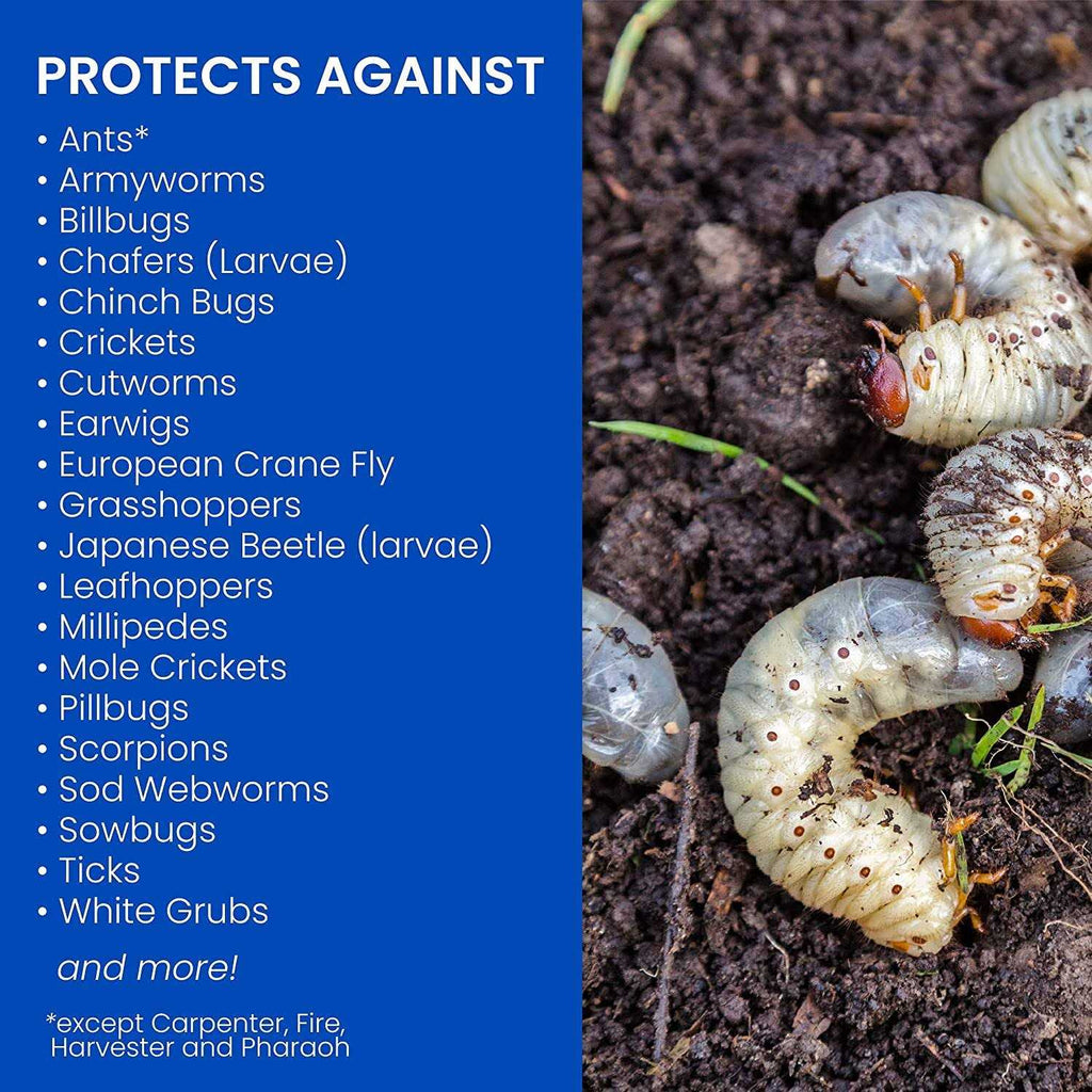 BioAdvanced 24 Hour Grub Killer Plus 15 lb Bag