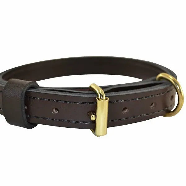 Ray Allen Premier Leather K9 Collar, Brown, English Rein Leather, Brass Hardware, 1 Inch Wide
