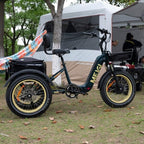 DWMEIGI Silverado 20 Foldable Fat Tire Electric Trike 48V/14AH 750W, 330LBS - MG2301