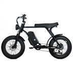 Electric Mountain Bike For Adults With 20 x 4.0 Fat Tires, 1000W Motor, 48V 20Ah Removable Battery, 45MPH Speed, 7-Speed