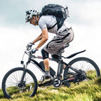 Gocio Adult Electric Mountain Bike 26 inch 500W 48V 7.8AH