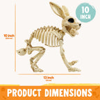 Joyfy Rabbit Skeleton