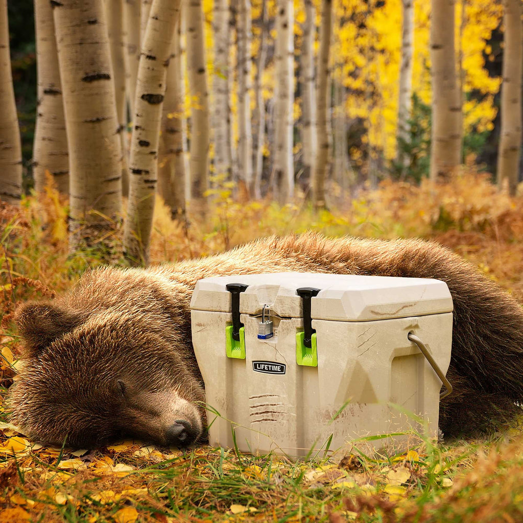 Lifetime Bear-Resistant High Performance Camping Cooler, 28 qt, 20 Can Capacity, Boulder Gray - 91289