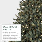 Balsam Hill Artificial Christmas Tree 7.5ft Pre-Lit Classic Blue Spruce With 1000 Clear Incandescent Lights